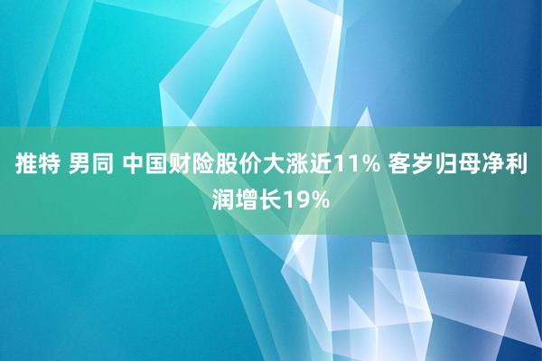 推特 男同 中国财险股价大涨近11% 客岁归母净利润增长19%