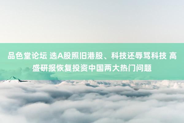 品色堂论坛 选A股照旧港股、科技还辱骂科技 高盛研报恢复投资